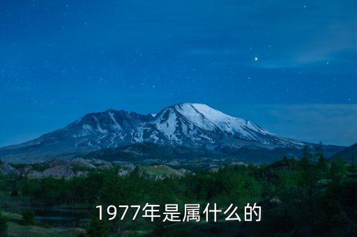 1977年是屬什么的