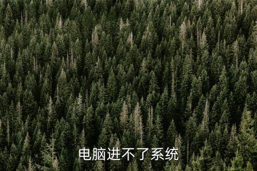 電腦進不去系統，電腦進不了系統