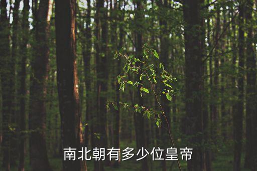 南北朝皇帝，南北朝有多少位皇帝