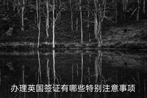 英國簽證注意事項，英國探親簽證申請注意事項是什么