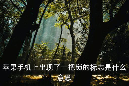 鎖圖標(biāo)，蘋果手機(jī)右上角顯示一把鎖的圖標(biāo)怎么回事謝謝解答