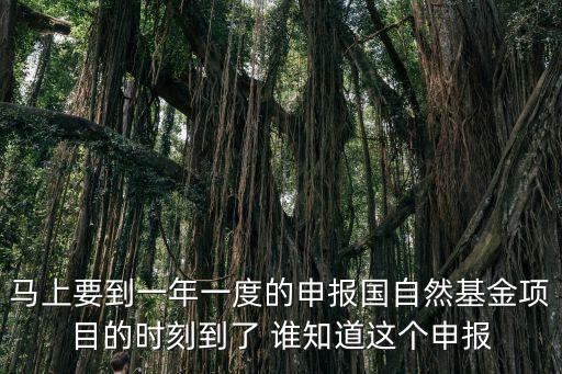 段李平上海市自然基金，收到上海賡興投資管理咨詢有限公司上海市靜安區(qū)萬航渡路849號海