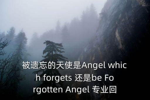 遺忘天使，遺失天使的英文單詞是什么