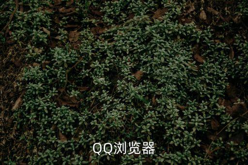 qq瀏覽器網(wǎng)頁，QQ瀏覽器