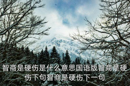 智商是硬傷是什么意思國語版智商是硬傷下句智商是硬傷下一句
