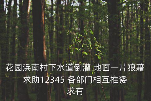 花園浜南村下水道倒灌 地面一片狼藉 求助12345 各部門相互推諉 求有