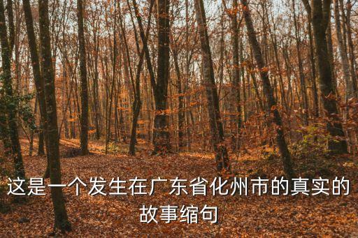 這是一個發生在廣東省化州市的真實的故事縮句