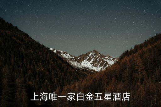 上海唯一家白金五星酒店