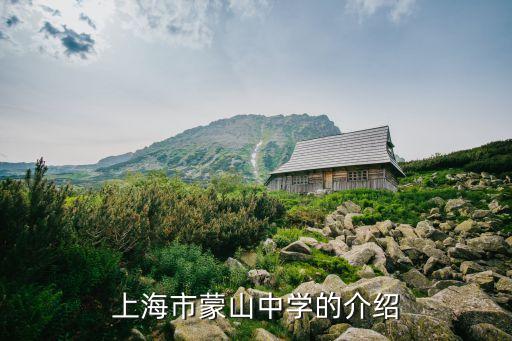 上海市蒙山中學的主頁，金山區蒙山中學網址是什么