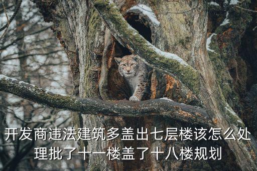 開發(fā)商違法建筑多蓋出七層樓該怎么處理批了十一樓蓋了十八樓規(guī)劃