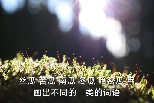 苦瓜簡筆畫，苦瓜