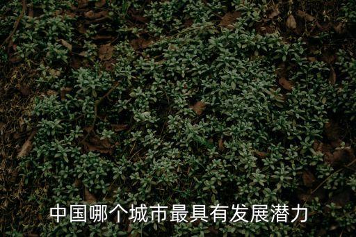 中國哪個城市最具有發展潛力