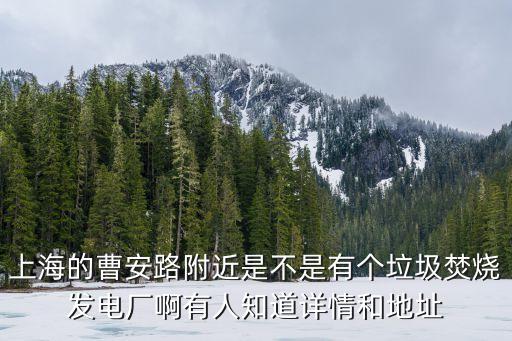 上海市有垃圾焚燒廠嗎，上海有幾個垃圾焚燒廠