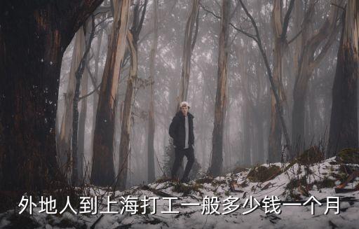 上海市打工工資多少錢，上海 一般工人工資一個月多少錢