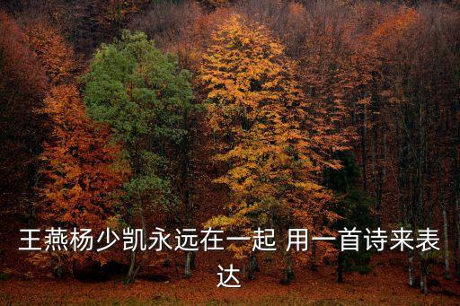 上海市實(shí)驗(yàn)學(xué)校附屬光明學(xué)校王燕，王燕楊少凱永遠(yuǎn)在一起 用一首詩來表達(dá)