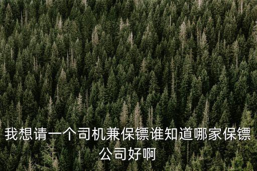 廣州請司機保鏢，請一個會開車的貼身保鏢司機大概需要多少錢啊