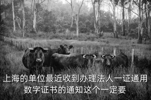 上海市法人一證通ca續費，上海社保法人一證通