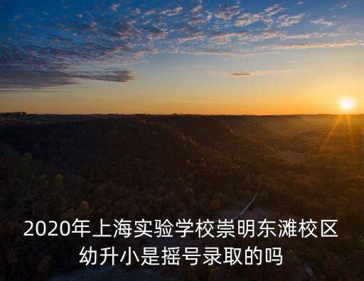 2020年上海實驗學校崇明東灘校區幼升小是搖號錄取的嗎