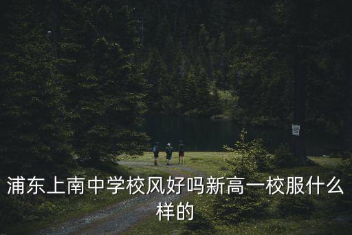 浦東上南中學校風好嗎新高一校服什么樣的