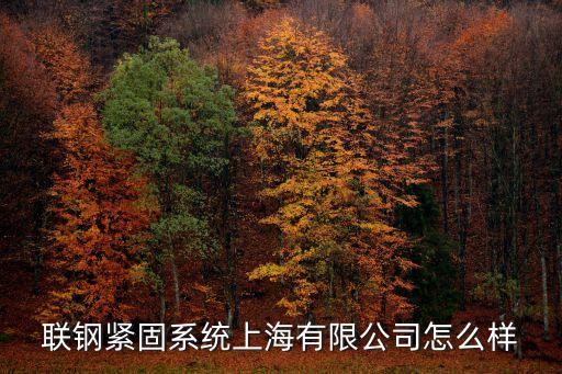 上海市緊固件單位，聯鋼緊固系統上海有限公司怎么樣