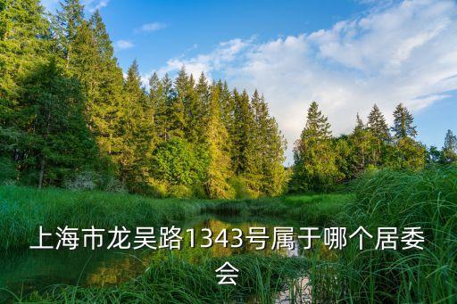 上海市冠生園居委會，上海市龍吳路1343號屬于哪個居委會