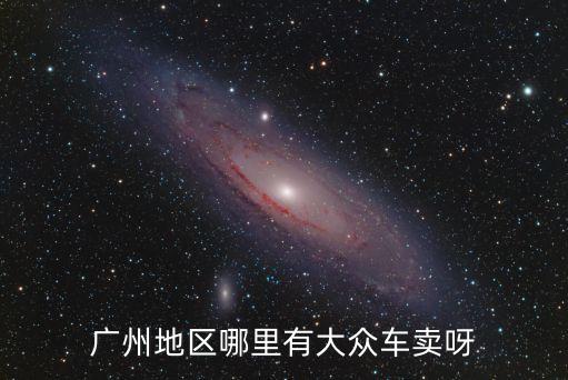 廣州地區哪里有大眾車賣呀