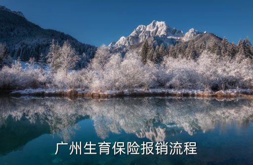 廣州住院生孩子費(fèi)用怎么報(bào)銷，廣州生育保險(xiǎn)報(bào)銷流程是怎樣的