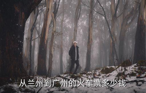 普蘭店到廣州硬臥多少錢，去廣州的臥鋪票多少錢