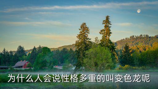 變色龍性格，為什么人會說性格多重的叫變色龍呢