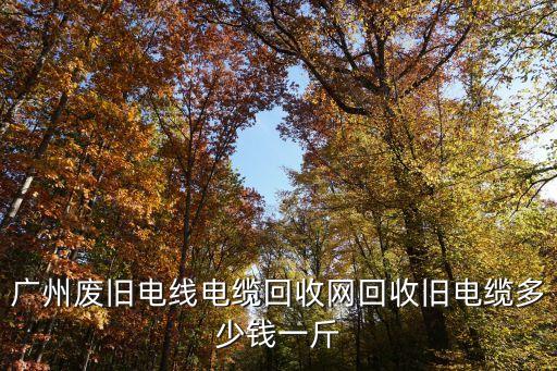 廣州越秀舊電纜回收電話擇優推薦，回收各種廢舊絕緣子廢舊電纜誰有呢請與我聯系謝啦