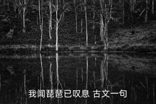 我聞琵琶已嘆息，白居易詩我聞琵琶已嘆息的下一句是什么