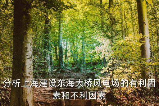 上海市出臺海上風電，中國第一個海上風電什么時候建的
