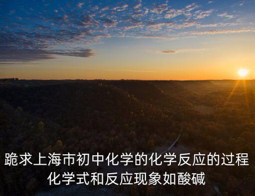 上海市與精制硫酸，硫酸精制的方法有哪些