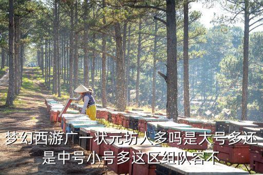 夢幻西游廣一狀元坊人多嗎是大號多還是中號小號多這區組隊容不
