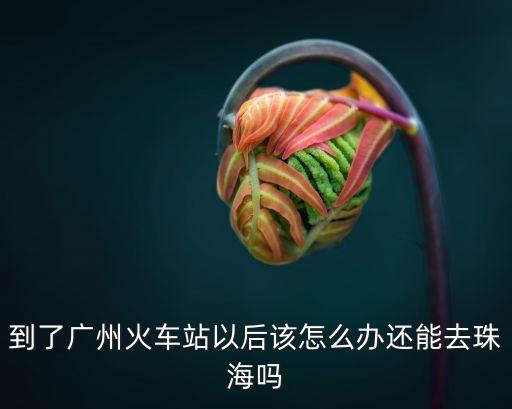 到了廣州火車站以后該怎么辦還能去珠海嗎