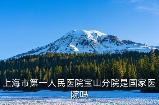 上海市第一人民醫(yī)院寶山分院是國(guó)家醫(yī)院?jiǎn)? class=