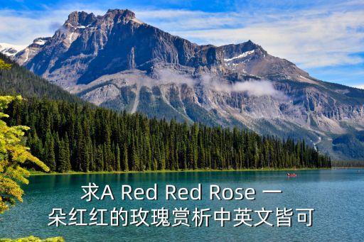 紅紅的玫瑰，red rose 是什么意思