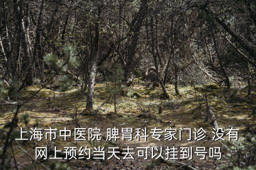 上海市中醫(yī)院 脾胃科專家門診 沒有網(wǎng)上預(yù)約當(dāng)天去可以掛到號嗎