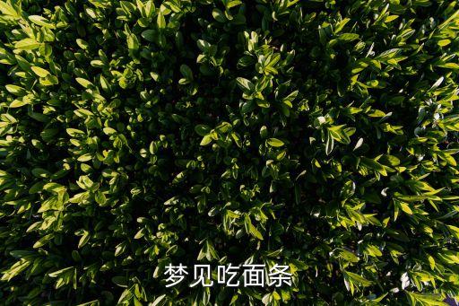 夢見面條，周公解夢夢見吃面