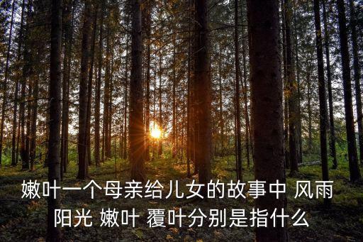 嫩葉一個(gè)母親給兒女的故事中 風(fēng)雨 陽光 嫩葉 覆葉分別是指什么