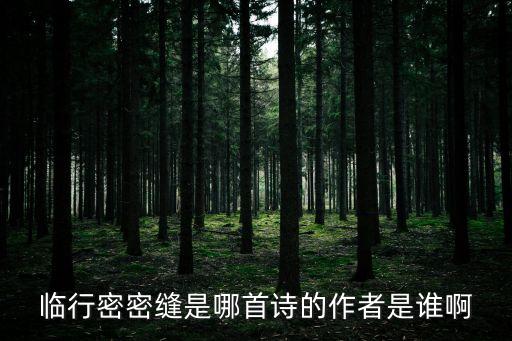 臨行密密縫是哪首詩的作者是誰啊