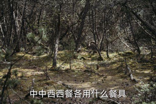 中中西西餐各用什么餐具