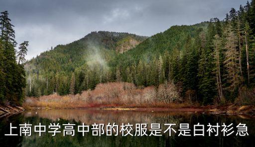 上海市南高中校服，浦東上南中學(xué)校風(fēng)好嗎新高一校服什么樣的