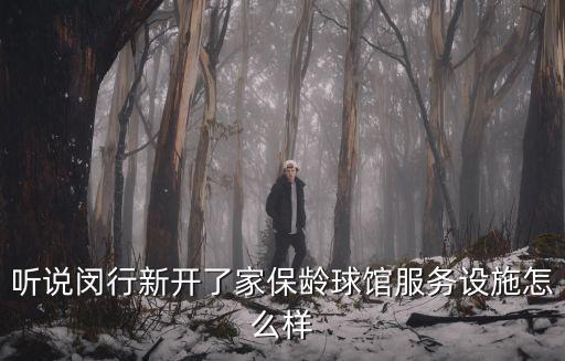 聽說閔行新開了家保齡球館服務(wù)設(shè)施怎么樣
