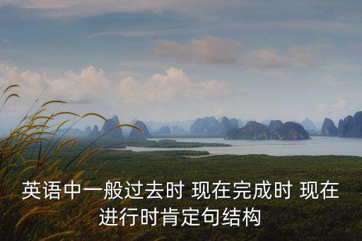 英語中一般過去時 現在完成時 現在進行時肯定句結構