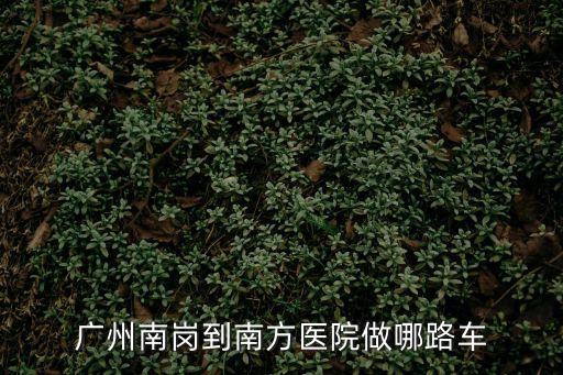 南崗到廣州南方醫院怎么坐車，廣州南崗到南方醫院做哪路車