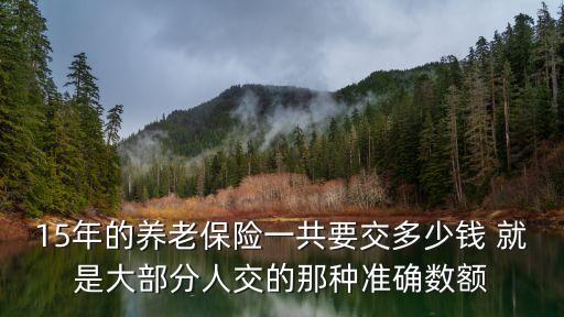 15年的養(yǎng)老保險(xiǎn)一共要交多少錢 就是大部分人交的那種準(zhǔn)確數(shù)額