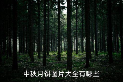 廣州流心月餅圖片，廣州的廣式月餅有那些好吃的有那些
