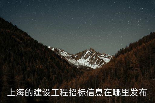上海的建設工程招標信息在哪里發布