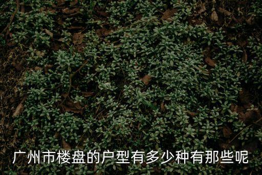 廣州芳村小區(qū)戶型，廣州市樓盤的戶型有多少種有那些呢